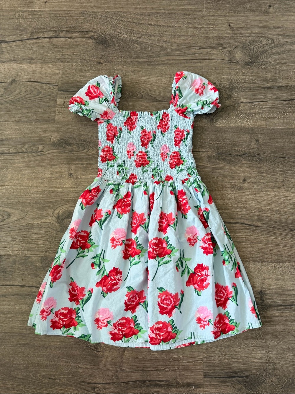 Janie and Jack Girls' Floral Puff Sleeve Smocked Dress - Red Roses on Light Blue